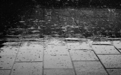 When Water Strikes: How to Protect, Restore, and Reclaim Your Home